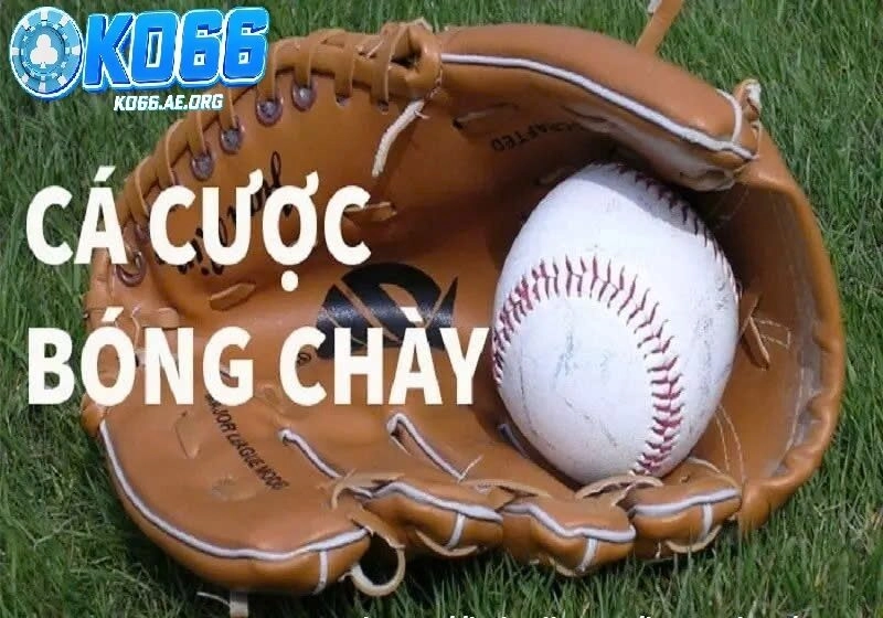 Tìm hiểu về cá cược bóng chày 